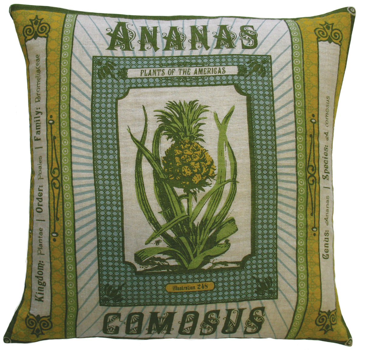 Botanica: 91800 Ananas Comosus (20x20)