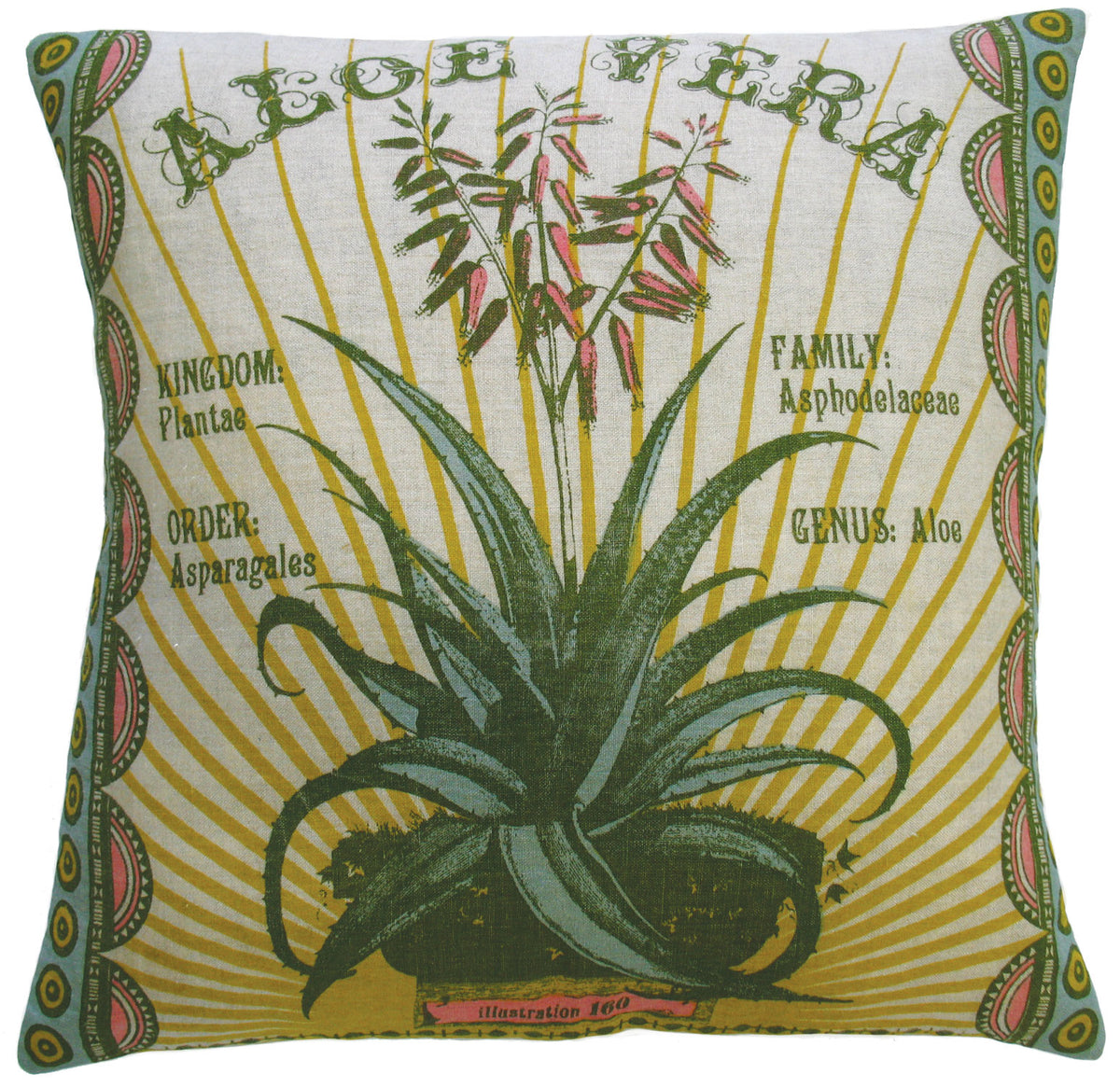 Botanica: 91802 Aloe Vera (20x20)